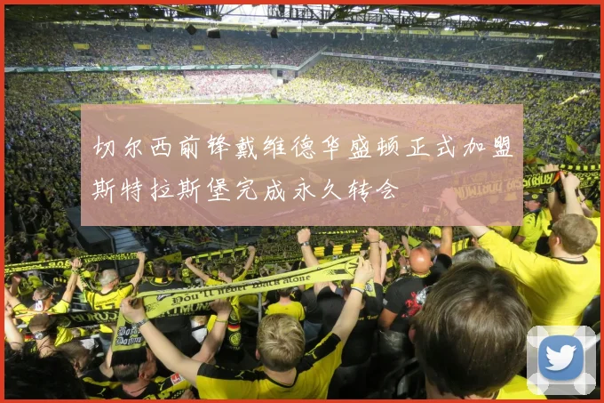 切尔西前锋戴维德华盛顿正式加盟斯特拉斯堡完成永久转会